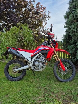 Honda CRF300L - 4