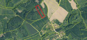 Prodej lesa Klisinec 9634m2 - 4