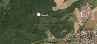 Prodej lesa, 62499 m², Trubín - 4