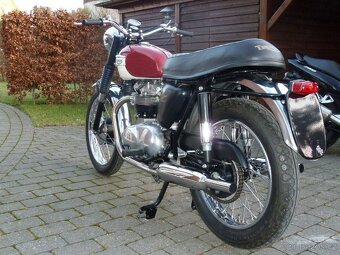 Triumph Tiger 100 Daytona 500 OHV - 4