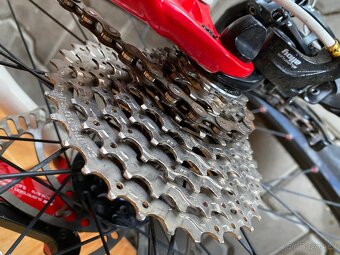 Specialized camper comp - 4