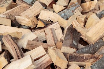 Palivové dřevo,dříví listantý ,měkké,tvrdé, rychlé dodání - 4