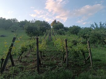 Prodám rekreační pozemek - 4