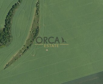 1,3 ha pozemku v k.ú. Moravany u Brna - 4