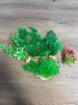 Akvárium a příslušenství - 4