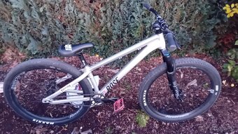 Rose The bruce 2 - 4