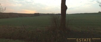0,5 ha pozemku v k.ú. Lomnice nad Popelkou - 4