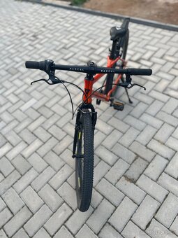 Rascal 24” - 4