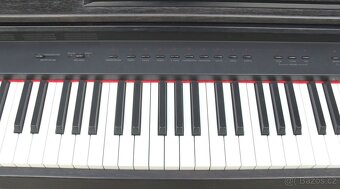 Digitální piano DEX 1000 - 4