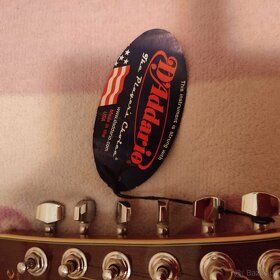 Kytara dvanáctistrunná Fade - 4