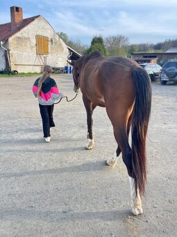 4 letý vlach po Le patron obsednut - 4