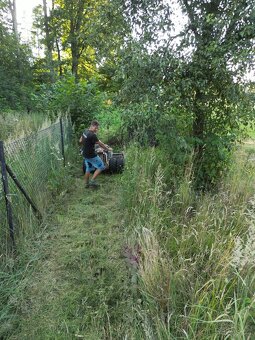 Pronájem mulčovače Honda, Dakr - 4