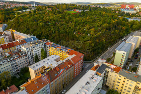 Prodej bytu 4+1, 122 m², Brno, ul. Úvoz - 4