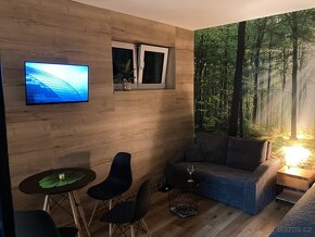 Apartmán Vrbno pod Pradědem - Jeseníky - 4
