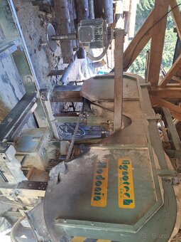 Kmenová pasová pila - 4