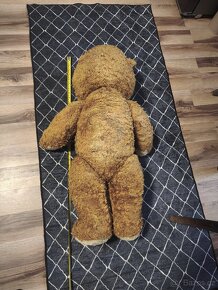 Velký mručící medvěd a malý medvídek. - 4