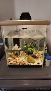 Aquarium set - 4