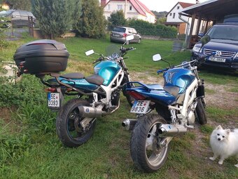 Suzuki SV 650 - 4