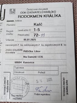Kalifornský černý - 4