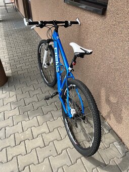 Kolo PELLS RAZZER 29” - 4