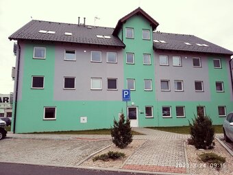 Pronájem bytu 3+ kk Polná - 4