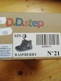 DD step 21 - 4