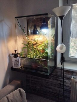 Terárium 50x40x80 cm s 3D stěnou - 4