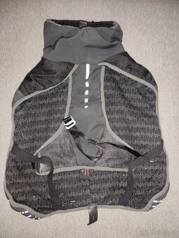 Zimní bunda Americký bezsrstý teriér - 4