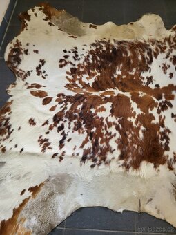 kůže, hovězí kožešina, velikost 174x166 cm - 4