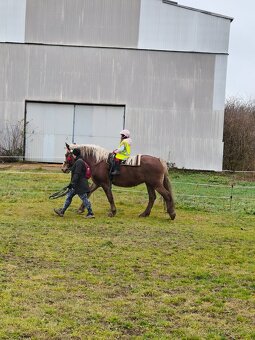 Nabízím klisnu hodnou ČMB - 4