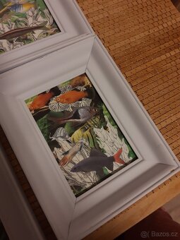 Rámečky/obrázky - 4