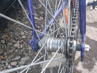 Singlespeed, favorit retromodbajk - 4