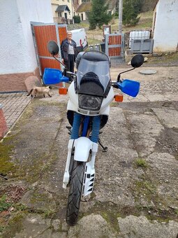 Honda nx 650 domimator - 4