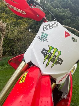 Diabolini MMR 250-2021 - 4