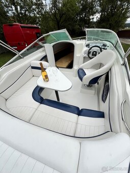 VIPER V203 - 4