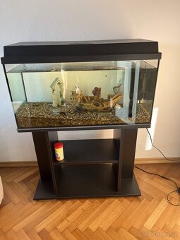 Akvárium se stolkem - 4
