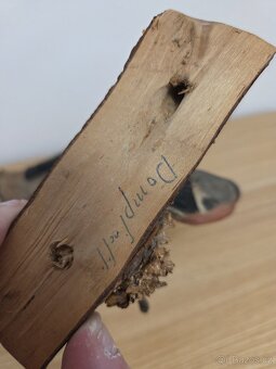 Starožitný ručně vyrezavany ptáčci (viechtauer?) - 4