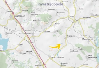 Prodej sadu / vinice 11 743 m², Čejkovice - 4