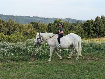 Dětský pobytový tábor u koní - 4