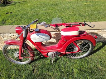Jaweta Sport - 4