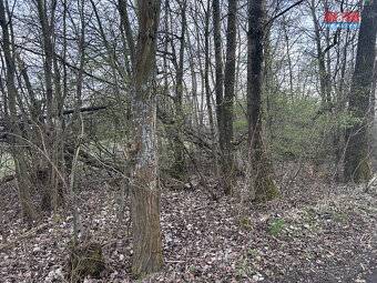 Prodej zahrady, 13719 m², Doubrava - 4