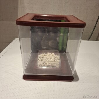 Akvarium / aquarium 2l betta bojovnice - 4