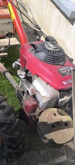 VARI TERA HONDA - 4