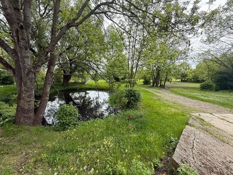 Pronájem jezdeckého areálu – 26 756 m², Měčeříž u Prahy - 4