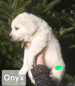 Chovateľská stanica na Starom mlynisku - 4