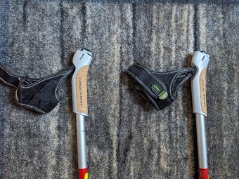 běžkařské hole - 4