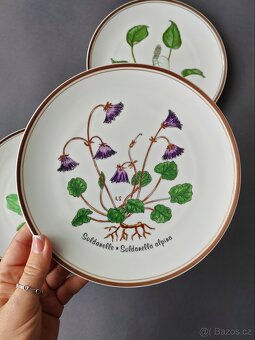 Sbírka dekorativních talířů Rosenthal "Alpine Flora Botanic - 4