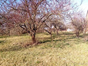 Prodej pozemek bydlení Brodek u Přerova Luková 1193 m² - 4