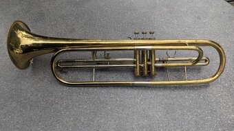 Bastrumpeta Zn. LIDL - 4