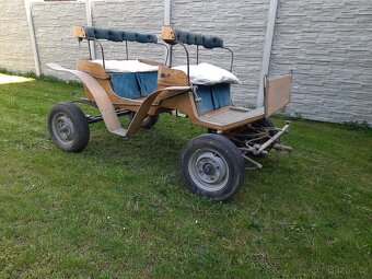 Bryčka za koně - 4